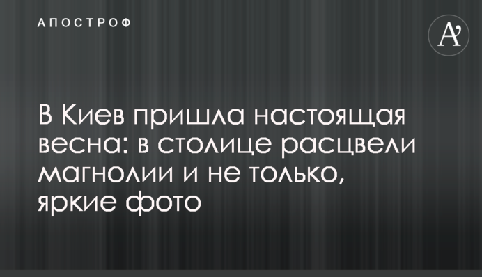 В Киев пришла настоящая весна: в столице расцвели магнолии и не только, яркие фото