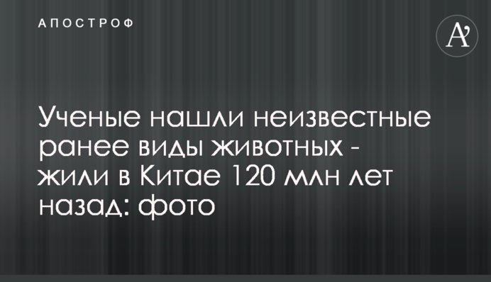 Вчені знайшли невідомі раніше види тварин - жили в Китаї 120 млн років тому: фото