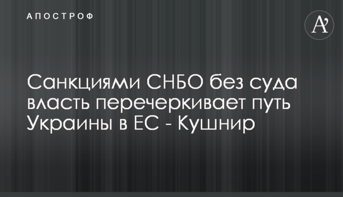 Санкциями СНБО без суда власть перечеркивает путь Украины в ЕС - Кушнир