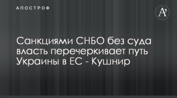 Санкціями РНБО без суду влада перекреслює шлях України в ЄС - Кушнір