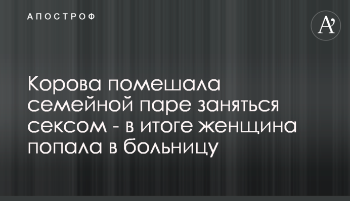 Корова завадила подружжю зайнятися сексом - в результаті жінка потрапила в лікарню