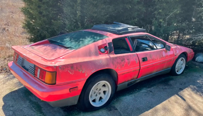 Мужчина нашел британский спорткар, стоявший в поле 20 лет: фото и видео