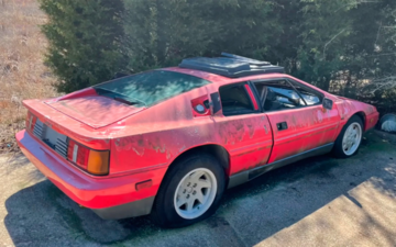 Мужчина нашел британский спорткар, стоявший в поле 20 лет: фото и видео