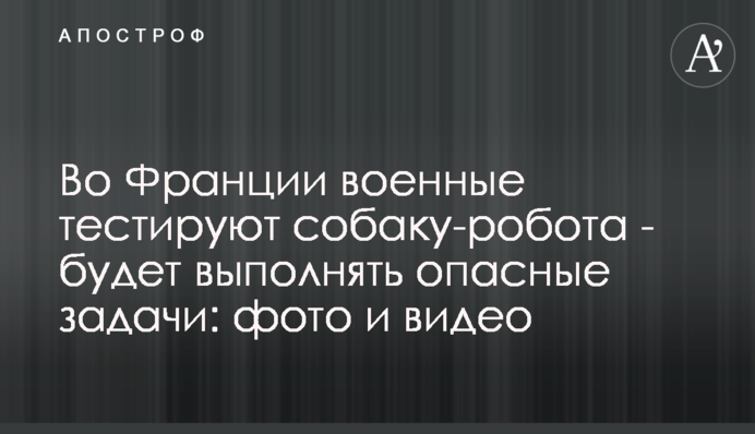 Во Франции военные тестируют собаку-робота - будет выполнять опасные задачи: фото и видео