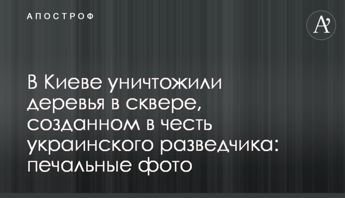 У Києві знищили дерева в сквері, створеному на честь українського розвідника: сумні фото