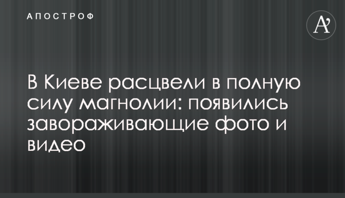 В Киеве расцвели в полную силу магнолии: появились завораживающие фото и видео