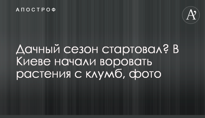 Дачний сезон стартував? У Києві почали красти рослини з клумб, фото