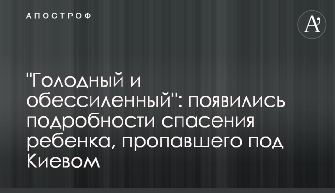 "Голодна і знесилена": з'явилися подробиці порятунку дитини, яка зникла під Києвом