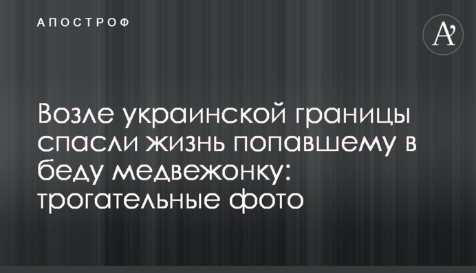 Возле украинской границы спасли жизнь попавшему в беду медвежонку: трогательные фото