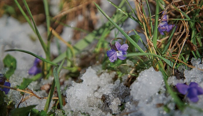 Часть Украины накроют дожди со снегом: прогноз на выходные