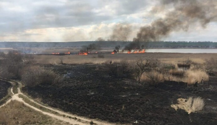 Біля популярного українського курорту діти влаштували масштабну пожежу: фото і відео