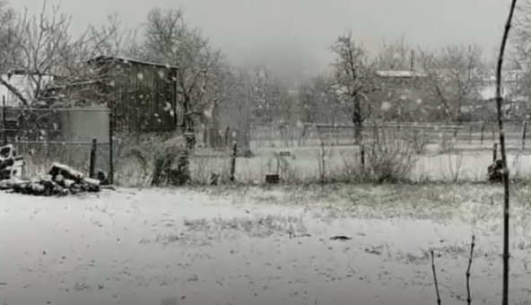 Будто и не весна: Одесскую область засыпало снегом