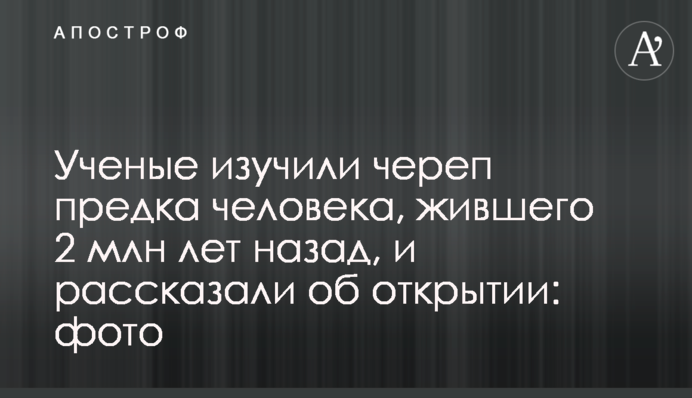 Вчені вивчили череп предка людини, що жила 2 млн років тому, і розповіли про відкриття: фото