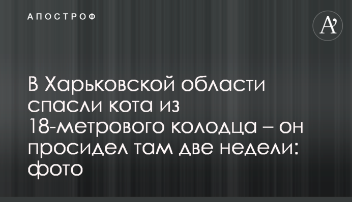 В Харьковской области спасли кота из 18-метрового колодца – он просидел там две недели: фото