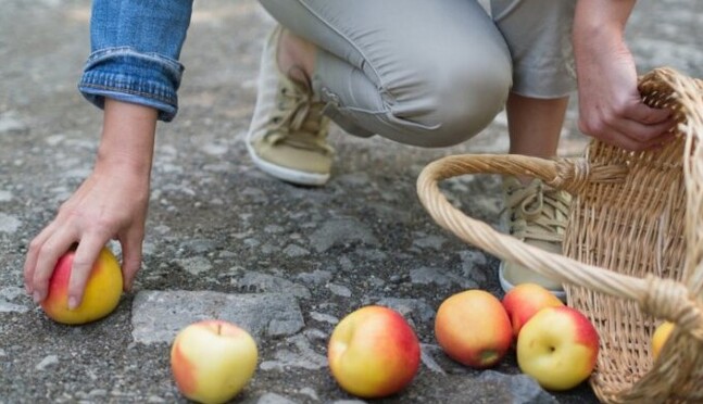 Часто потрапляють в безглузді ситуації - астрологи назвали три найбільш незграбних знаки Зодіаку
