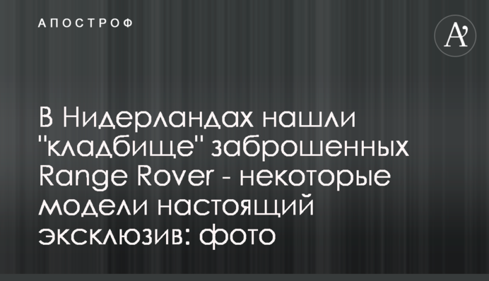 В Нидерландах нашли 