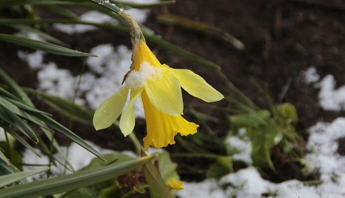 В Украине ударят серьезные заморозки: какие области в зоне риска