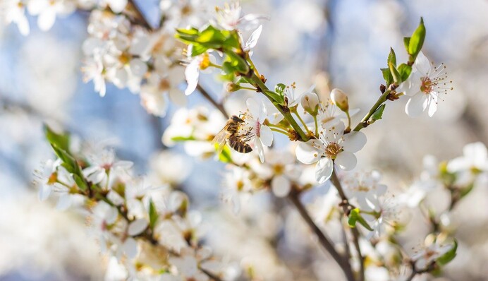 Весна без тепла: когда украинцам ждать хорошей погоды