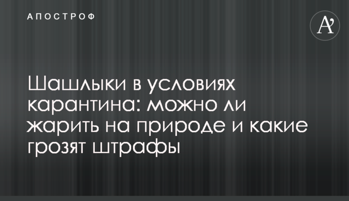 Шашлики в умовах карантину: чи можна смажити на природі і які загрожують штрафи