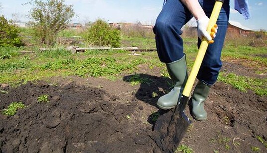 Идите копайте огороды: министр сделал интересное заявление про войну с Россией