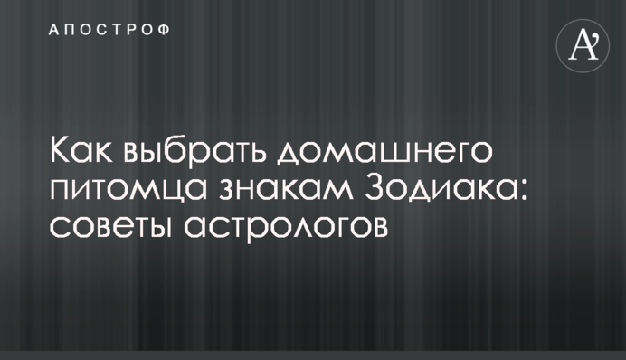 Як вибрати домашнього улюбленця знакам Зодіаку: поради астрологів