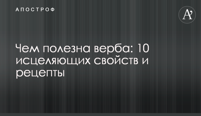 Чем полезна верба: 10 исцеляющих свойств и рецепты