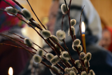 Вербное воскресенье: история, приметы и главные запреты