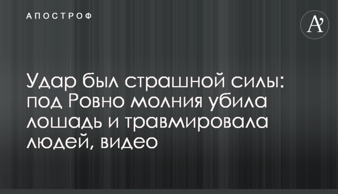Удар был страшной силы: под Ровно молния убила лошадь и травмировала людей, видео