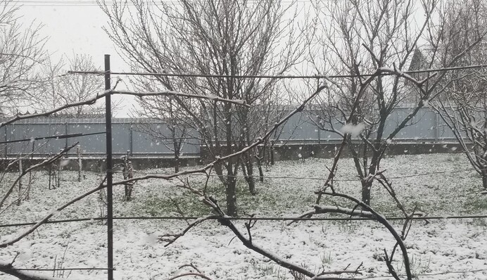 На Україну в кінці квітня обрушився сніг: фото і відео з різних регіонів