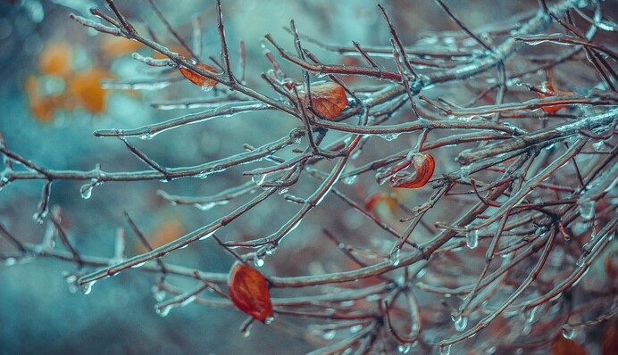 Перед травневими буде 