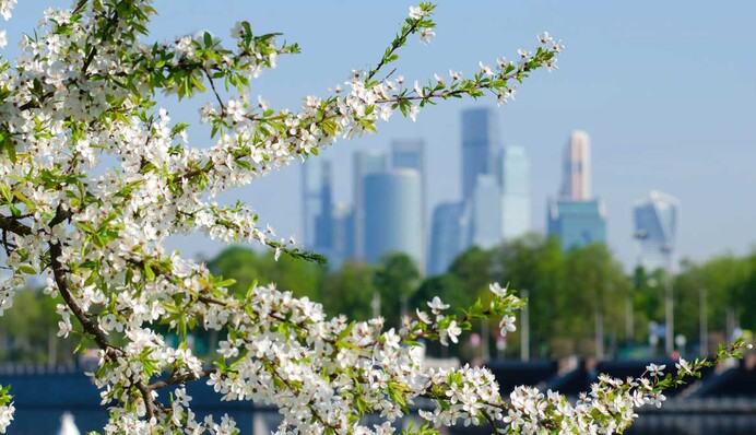 Потепление наберет обороты: синоптик дала прогноз на Чистый четверг в Украине