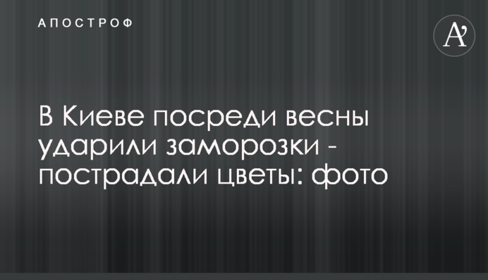 У Києві посеред весни вдарили морози - постраждали квіти: фото