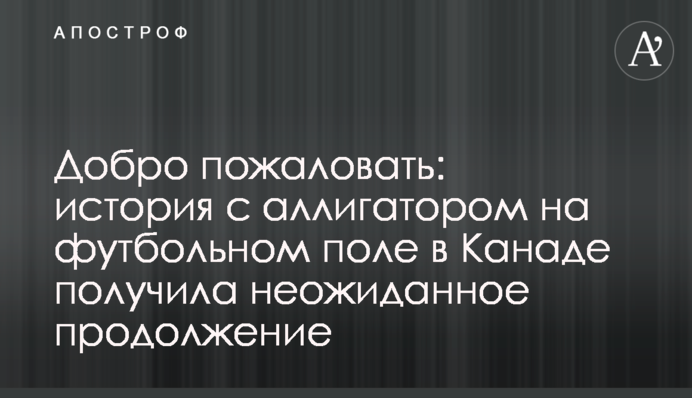 Ласкаво просимо: історія з алігатором на футбольному полі в Канаді отримала несподіване продовження