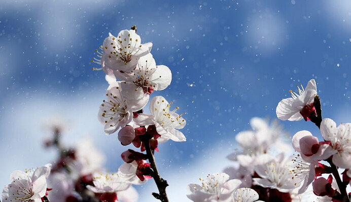 Когда в Украину придет настоящее тепло: синоптики дали прогноз до конца недели