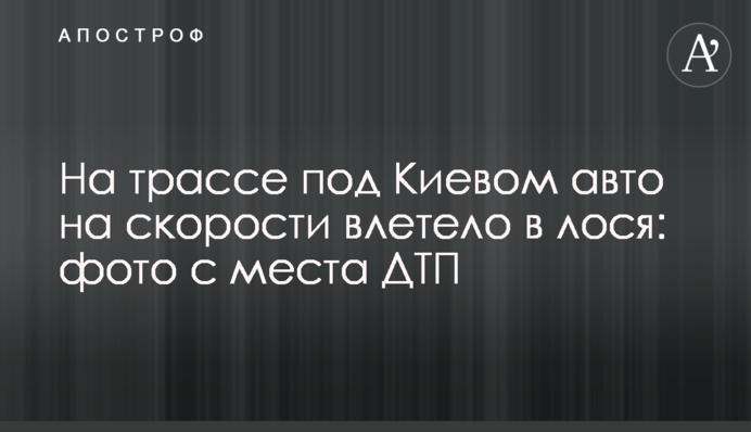 На трасі під Києвом авто на швидкості влетіло в лося: фото з місця ДТП
