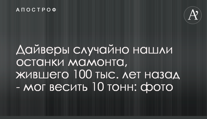 Дайвери випадково знайшли останки мамонта, який жив 100 тис. років тому - міг важити 10 тонн: фото