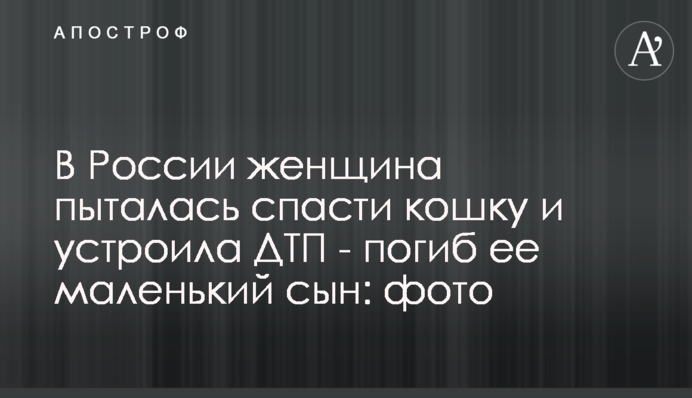 У Росії жінка намагалася врятувати кішку і влаштувала ДТП - загинув її маленький син: фото