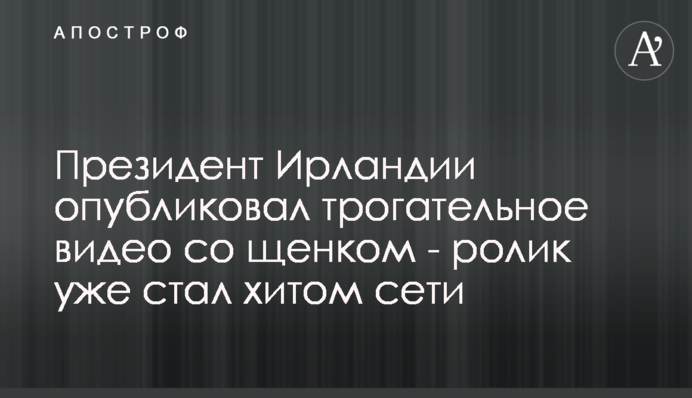 Президент Ірландії опублікував зворушливе відео з цуценям - ролик вже став хітом мережі