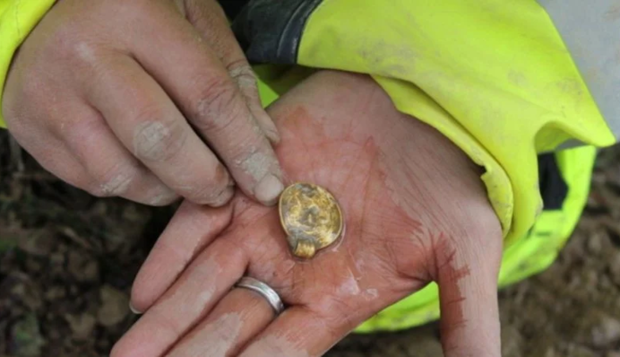 В Норвегии случайно нашли  уникальные артефакты – клад назвали скандинавским феноменом, фото