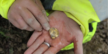 У Норвегії випадково знайшли унікальні артефакти - скарб назвали скандинавським феноменом, фото