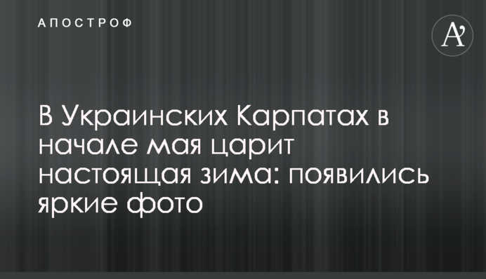 В Украинских Карпатах в начале мая царит настоящая зима: появились яркие фото