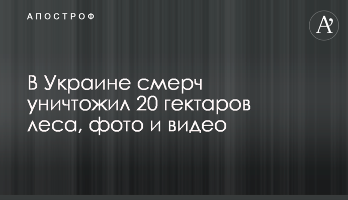 В Україні смерч знищив 20 гектарів лісу, фото і відео