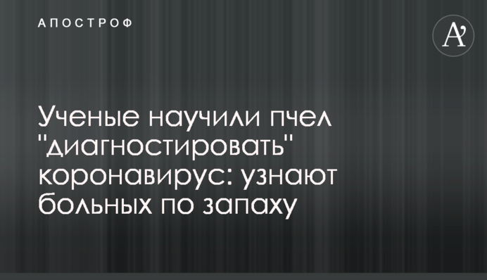 Вчені навчили бджіл 