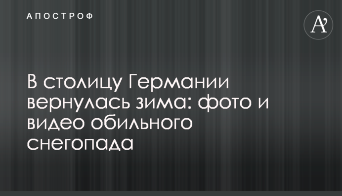 В столицу Германии вернулась зима: фото и видео обильного снегопада
