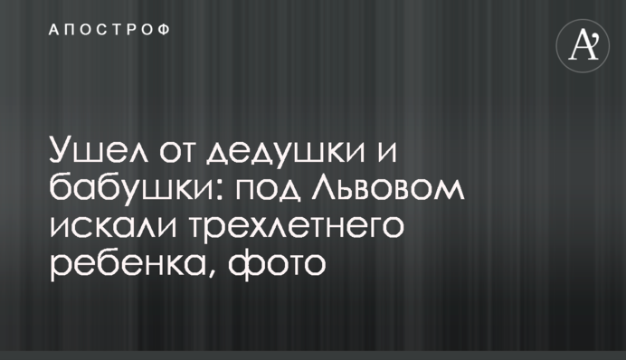 Пішов від дідуся і бабусі: під Львовом шукали трирічну дитину, фото