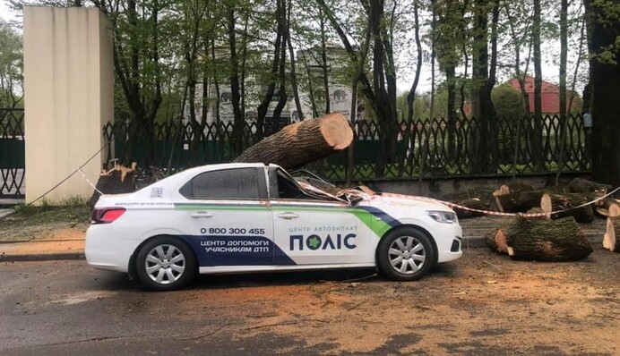 Це карма: мережі повеселила НП з авто страховиків у Львові, фото