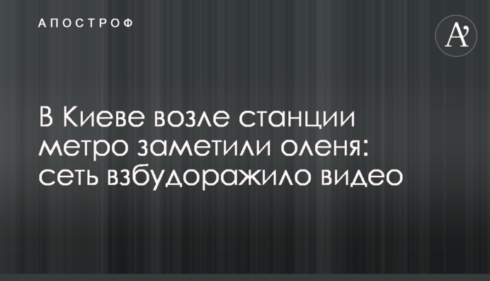 У Києві біля станції метро помітили оленя: мережу розбурхало відео