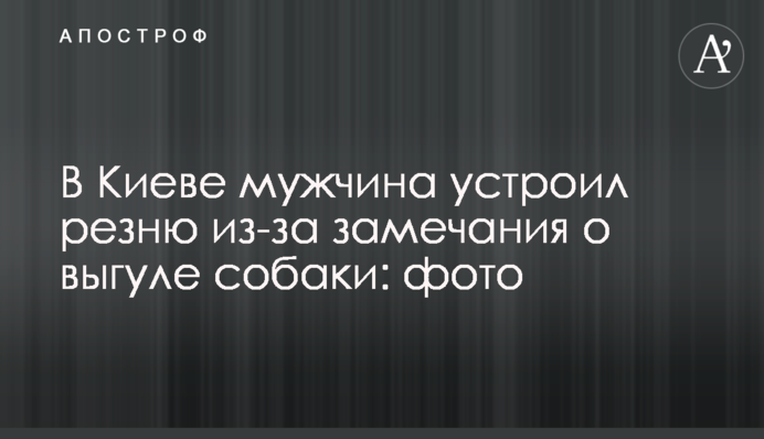 В Киеве мужчина устроил резню из-за замечания о выгуле собаки: фото