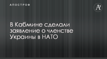 В Кабмине сделали заявление о членстве Украины в НАТО