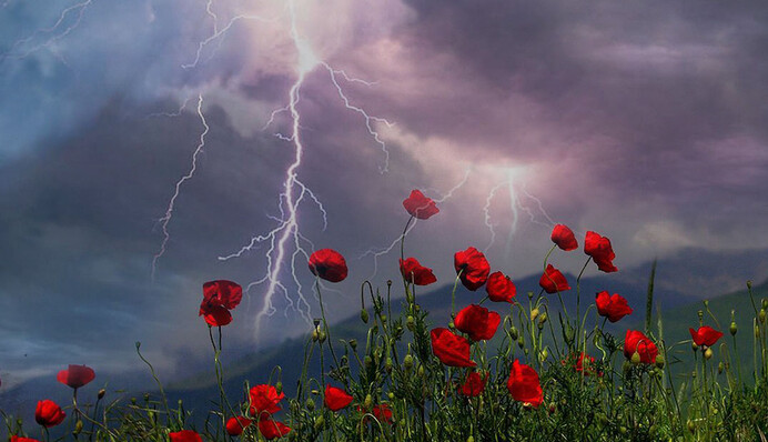 В Украину идет 30-градусная жара с грозами: свежий прогноз